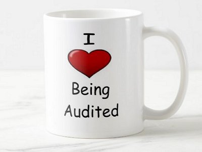 The Audit Culture